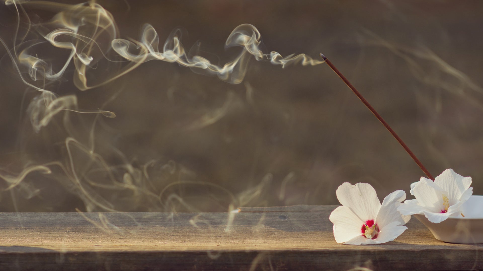 Jasmin Räucherstäbchen - Wirkung für Entspannung, Meditation und Herzöffnung