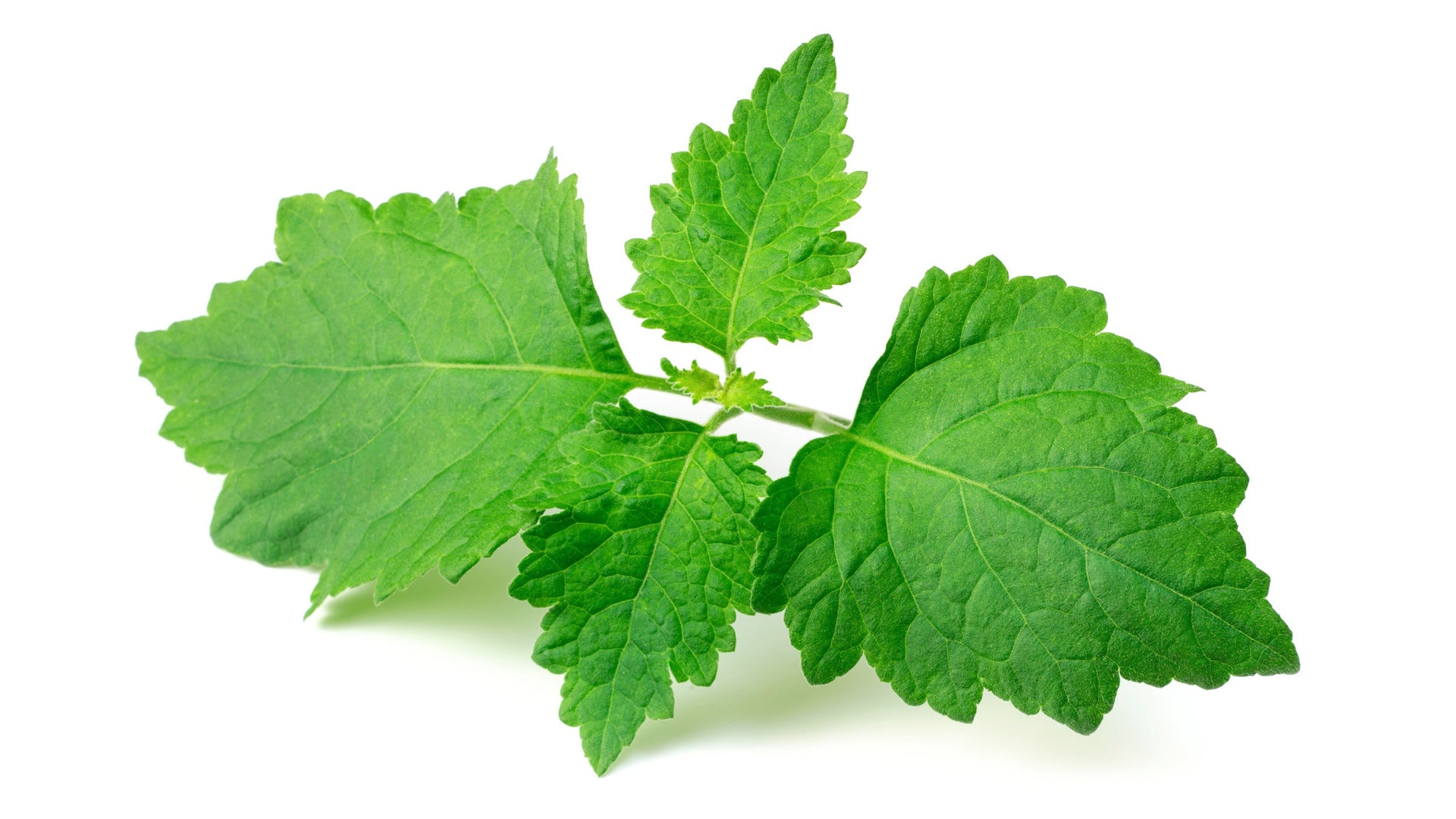 Patchouli Räucherstäbchen - Wirkung für Entspannung, Erdung und kreative Energie